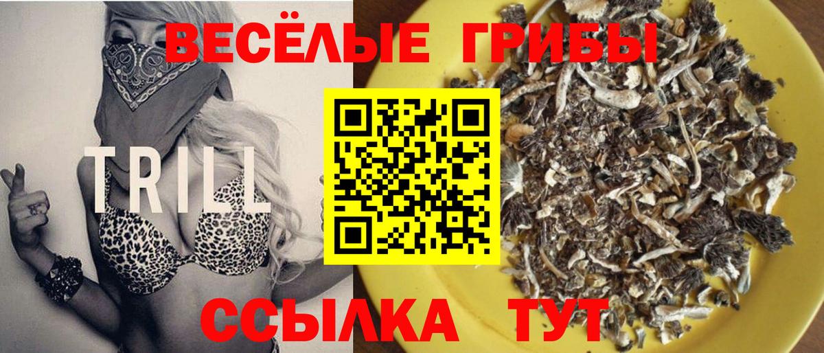 Меф Королёв