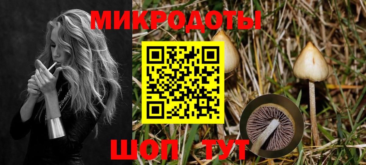 Королёв  Галлюциногенные грибы Cubensis  Вход с VPN 